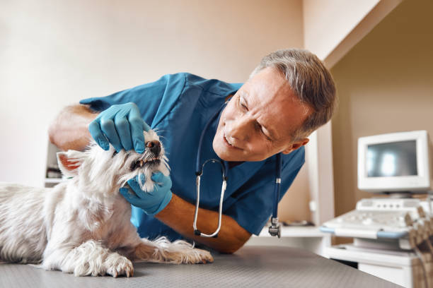 Best Same-Day Emergency Dentist in Boley, OK